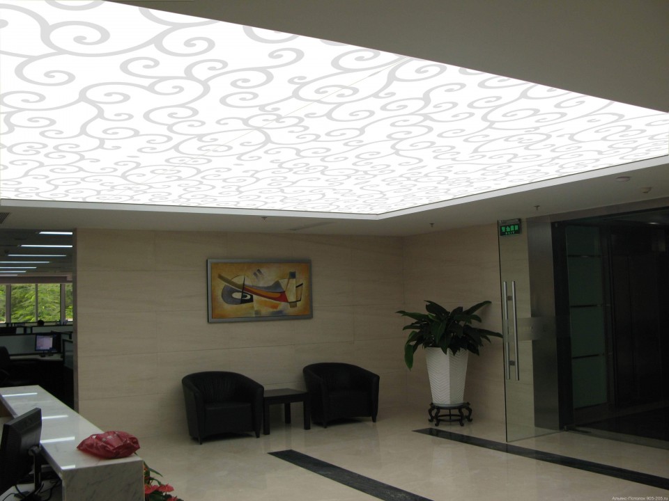 Заказать световые потолки new vision в г. Свободный